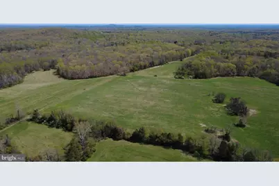 00 Whites Farm, Culpeper, VA 22701 - Photo 4