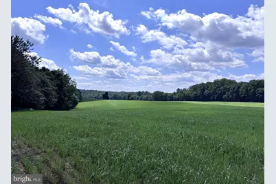 16560 Oak Shade Road, Rixeyville, VA 22737 - Photo 2