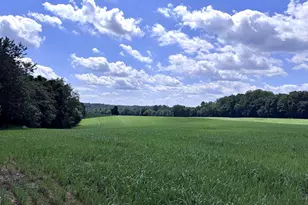16560 Oak Shade Rd, Rixeyville, VA 22737 - Photo 2