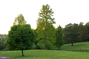 12006 Lord Willing Dr, Culpeper, VA 22701 - Photo 20