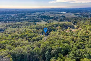 14100 Chesterfield Ln, Culpeper, VA 22701 - Photo 86