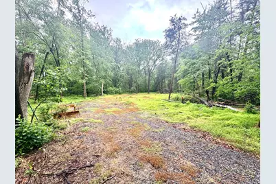 Slaughters Mill Road, Mitchells, VA 22729 - Photo 6