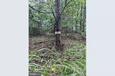 Carsons Way, Amissville, VA 20106 - Photo 8
