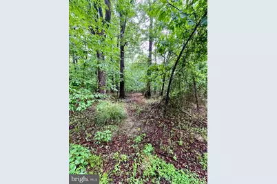 Carsons Way, Amissville, VA 20106 - Photo 6