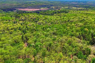 Lot 1 Obannons Mill Rd, Boston, VA 22713 - Photo 44