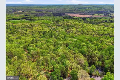 Lot 1 Obannons Mill Road, Boston, VA 22713 - Photo 46