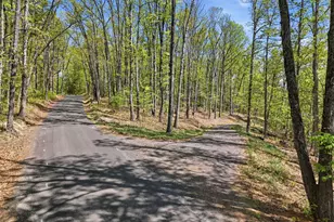 Lot 1 Obannons Mill Rd, Boston, VA 22713 - Photo 48
