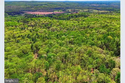 Lot 2 Obannons Mill Road, Boston, VA 22713 - Photo 44