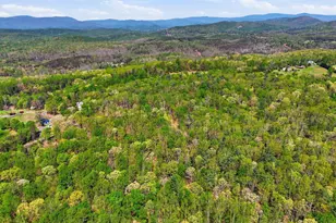 Lot 2 Obannons Mill Rd, Boston, VA 22713 - Photo 42