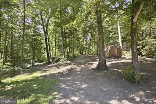 11064 Stream Side Ln, Culpeper, VA 22701 - Photo 10