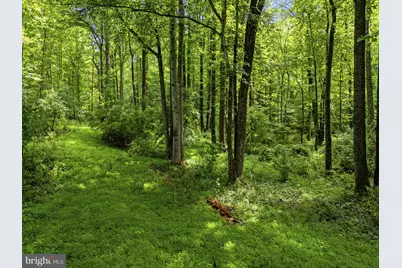 Country Creek Lane, Amissville, VA 20106 - Photo 16