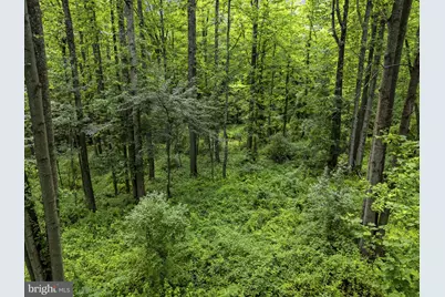 Country Creek Lane, Amissville, VA 20106 - Photo 18