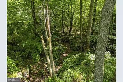 Country Creek Lane, Amissville, VA 20106 - Photo 22