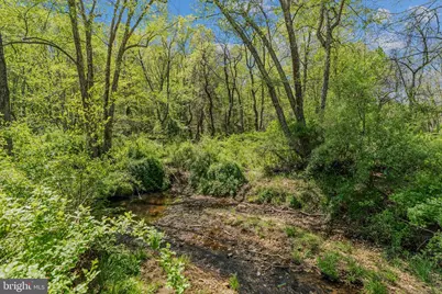 8396 Rixeyville Road, Rixeyville, VA 22737 - Photo 46