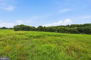 4407 Indian Run Rd, Amissville, VA 20106 - Photo 48