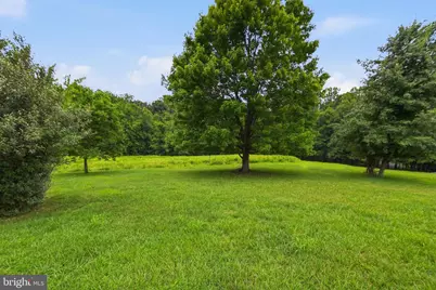 4407 Indian Run Road, Amissville, VA 20106 - Photo 8