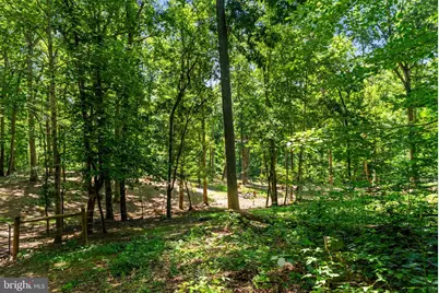 10275 Mountain Run Lake Road, Culpeper, VA 22701 - Photo 82