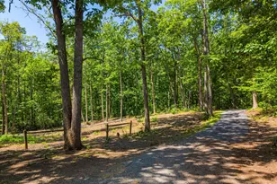 10275 Mountain Run Lake Rd, Culpeper, VA 22701 - Photo 6