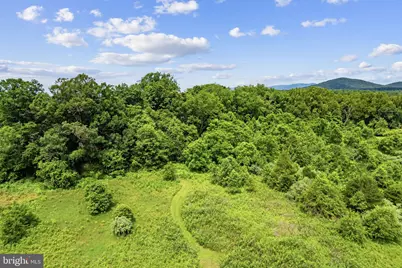 33A Docs Road, Culpeper, VA 22701 - Photo 12