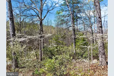 12415 Scotts Mill Road, Culpeper, VA 22701 - Photo 72