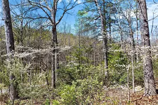 12415 Scotts Mill Rd, Culpeper, VA 22701 - Photo 72