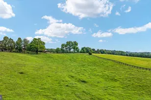 15638 White Tail Ln, Culpeper, VA 22701 - Photo 66