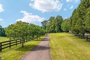 15638 White Tail Ln, Culpeper, VA 22701 - Photo 58