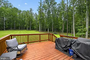 4055 Novum Rd, Reva, VA 22735 - Photo 12