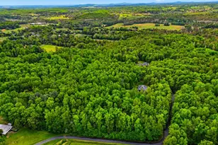 14254 Deertrack Trail, Culpeper, VA 22701 - Photo 62