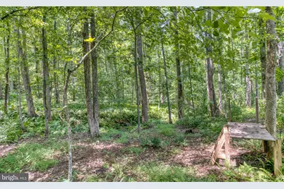 3480 Southampton Drive, Jeffersonton, VA 22724 - Photo 20