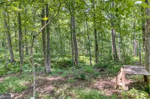 3480 Southampton Dr, Jeffersonton, VA 22724 - Photo 20