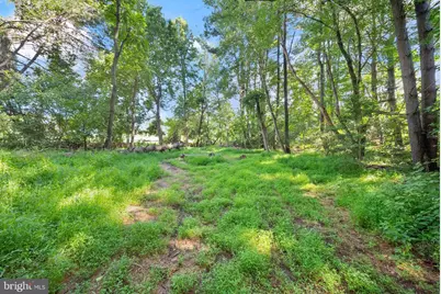 3145 Holly Springs Road, Amissville, VA 20106 - Photo 66