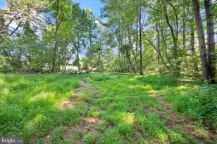 3145 Holly Springs Rd, Amissville, VA 20106 - Photo 66