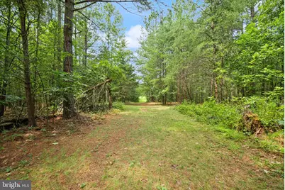 11096 Tolivers Forest, Rixeyville, VA 22737 - Photo 66