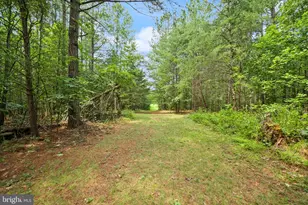 11096 Tolivers Forest, Rixeyville, VA 22737 - Photo 66