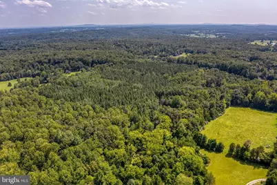 Dutch Hollow Road, Rixeyville, VA 22737 - Photo 6