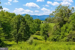 16603 Bleak Hill Rd, Culpeper, VA 22701 - Photo 4