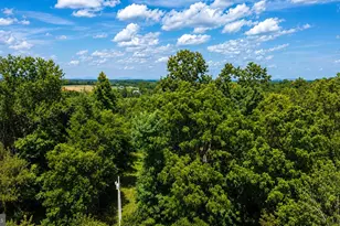 16603 Bleak Hill Rd, Culpeper, VA 22701 - Photo 48