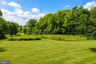 16603 Bleak Hill Rd, Culpeper, VA 22701 - Photo 44