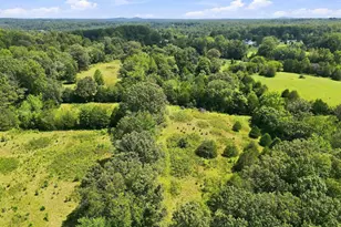 5491 Johnson Ln, Reva, VA 22735 - Photo 22