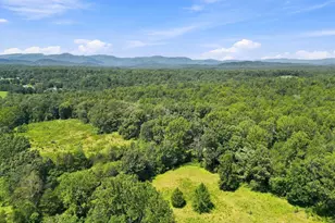 5491 Johnson Ln, Reva, VA 22735 - Photo 30
