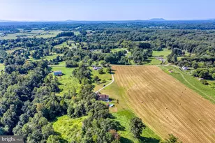 13953 Eggbornsville Rd, Culpeper, VA 22701 - Photo 42