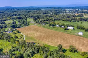 13953 Eggbornsville Rd, Culpeper, VA 22701 - Photo 40