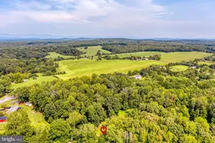 8497 Kilby Woods Dr, Culpeper, VA 22701 - Photo 30