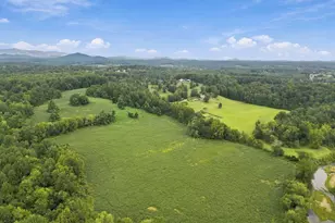12095 Hazel River Rd, Rixeyville, VA 22737 - Photo 52