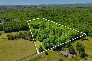 12638 Walnut Ln, Culpeper, VA 22701 - Photo 68
