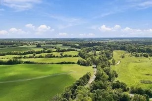 15314 Nalles Mill Rd, Culpeper, VA 22701 - Photo 12