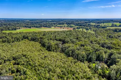 12513 Calvert Street, Culpeper, VA 22701 - Photo 68