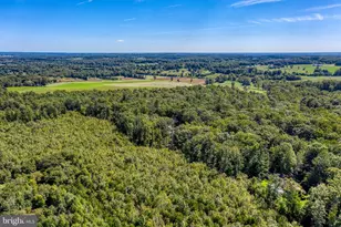 12513 Calvert St, Culpeper, VA 22701 - Photo 68