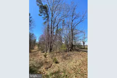 8424 Kilby Road, Culpeper, VA 22701 - Photo 4